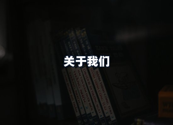 关于我们